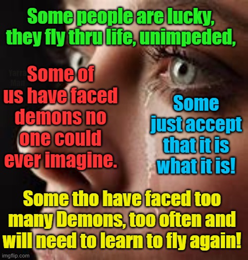 Some people fly thru life, never missing a beat, some however, need to learn to fly again! | Some people are lucky, they fly thru life, unimpeded, Some of us have faced demons no one could ever imagine. Yarra Man; Some just accept that it is what it is! Some tho have faced too many Demons, too often and will need to learn to fly again! | image tagged in tragedy,victims,pedophiles,leav your past behind,rise up,rebuild | made w/ Imgflip meme maker