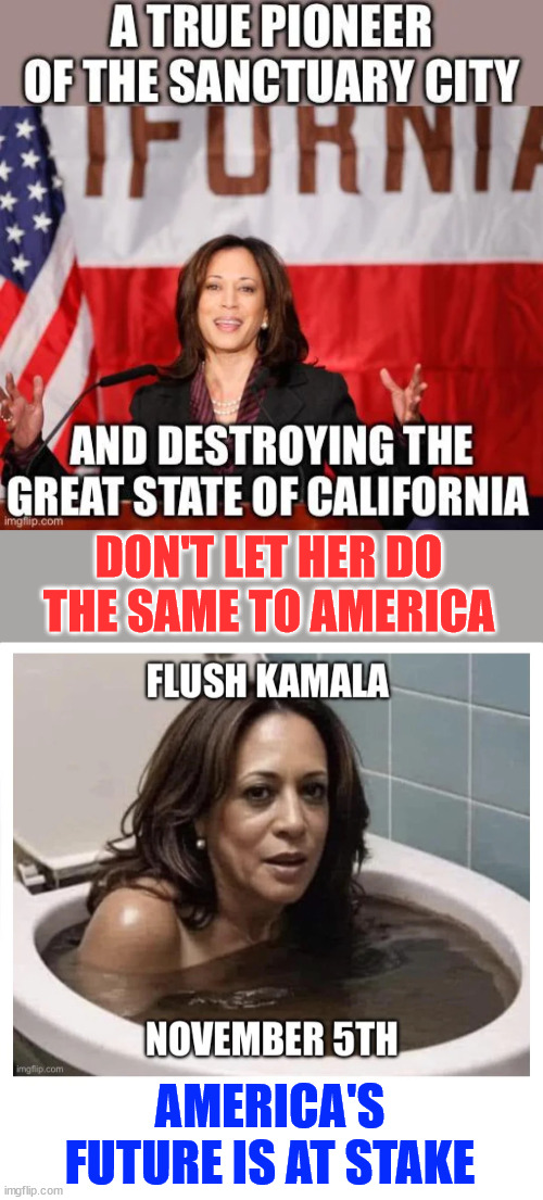 America's future is at stake... don't let dems destroy it | DON'T LET HER DO THE SAME TO AMERICA; AMERICA'S FUTURE IS AT STAKE | image tagged in flush,kamala harris,down the toilet | made w/ Imgflip meme maker