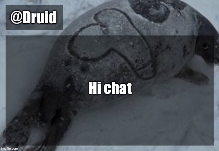 Old announcement temp | Hi chat | image tagged in y | made w/ Imgflip meme maker