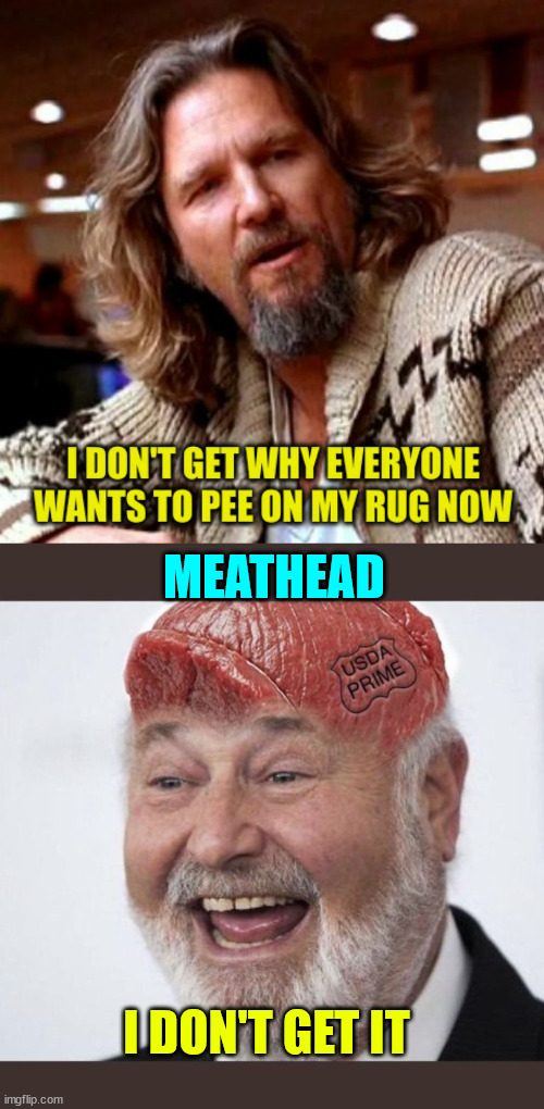 Important influencers for the lib cult | MEATHEAD; I DON'T GET IT | image tagged in stupid,hollywood,actors,influencer,sheep whistle | made w/ Imgflip meme maker