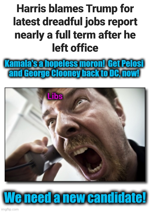 Kamala's out of her damn mind! | Kamala's a hopeless moron!  Get Pelosi
and George Clooney back to DC, now! Libs; We need a new candidate! | image tagged in memes,shouter,kamala harris,democrats,unemployment report,trump derangement syndrome | made w/ Imgflip meme maker