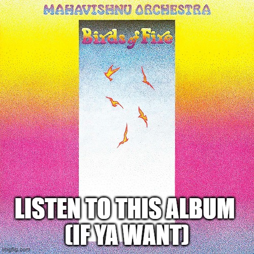 Birds of Fire- Mahivishnu Orchestra. All instrumental if you're into that, though I encourage everyone to hear it! | LISTEN TO THIS ALBUM 
(IF YA WANT) | made w/ Imgflip meme maker