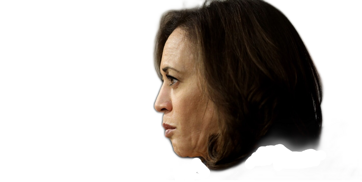 kamala head Blank Meme Template