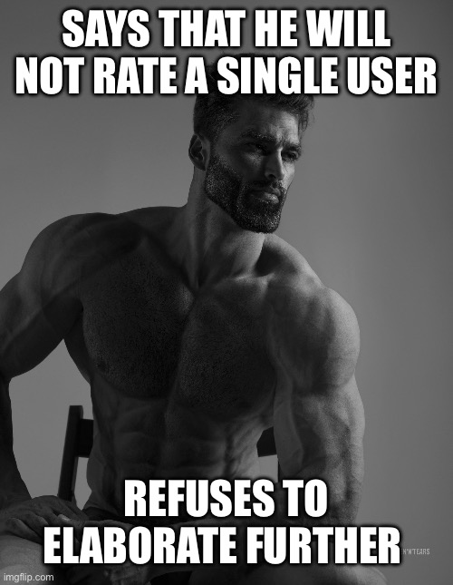 Giga Chad | SAYS THAT HE WILL NOT RATE A SINGLE USER REFUSES TO ELABORATE FURTHER | image tagged in giga chad | made w/ Imgflip meme maker