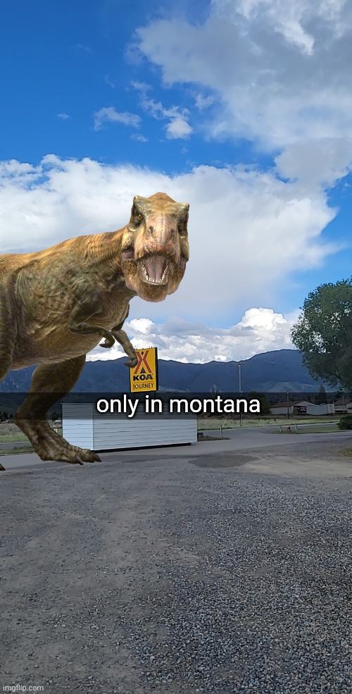 only in montana | made w/ Imgflip meme maker