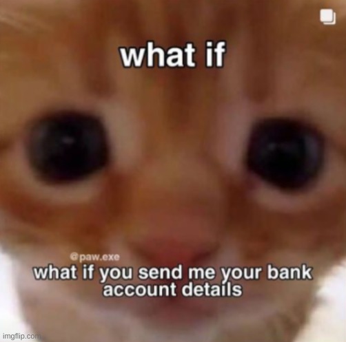 Please! /j | image tagged in cat,bank account | made w/ Imgflip meme maker