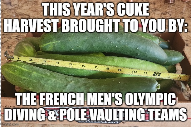 Olympic Cukes | THIS YEAR'S CUKE HARVEST BROUGHT TO YOU BY:; THE FRENCH MEN'S OLYMPIC DIVING & POLE VAULTING TEAMS | image tagged in olympics,french,swimming | made w/ Imgflip meme maker