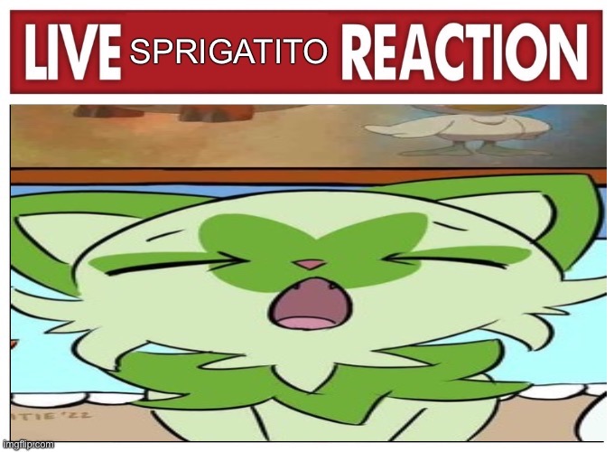 image tagged in live weird sprigatito reaction | made w/ Imgflip meme maker