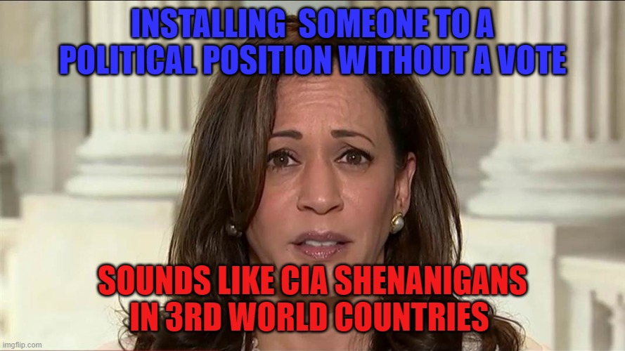 Kamala Harris | INSTALLING  SOMEONE TO A POLITICAL POSITION WITHOUT A VOTE; SOUNDS LIKE CIA SHENANIGANS IN 3RD WORLD COUNTRIES | image tagged in kamala harris,2024,conspiracy,joe biden,president trump,maga | made w/ Imgflip meme maker