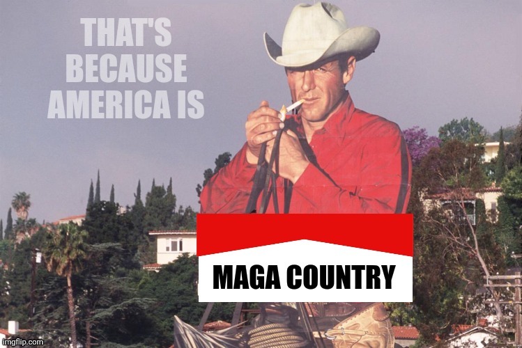 THAT'S BECAUSE AMERICA IS | image tagged in maga county | made w/ Imgflip meme maker