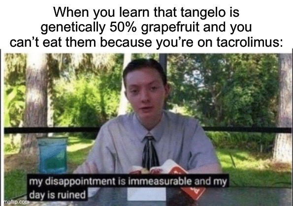 Tangelo allergy | When you learn that tangelo is genetically 50% grapefruit and you can’t eat them because you’re on tacrolimus: | image tagged in my dissapointment is immeasurable and my day is ruined,allergy,tangelo,meds | made w/ Imgflip meme maker