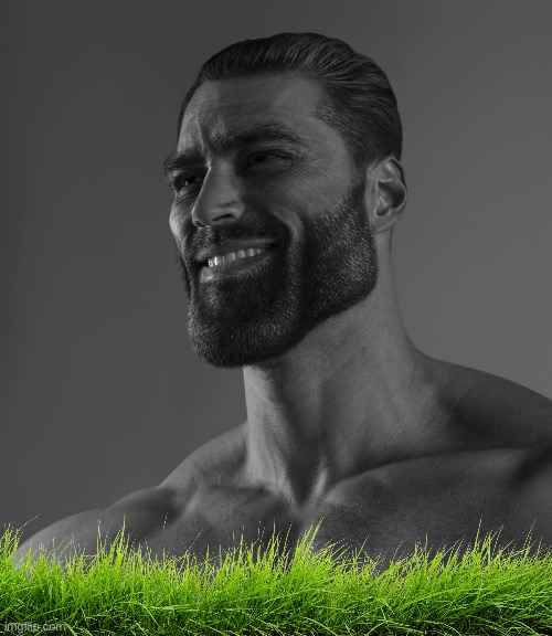Giga Chad | image tagged in giga chad | made w/ Imgflip meme maker
