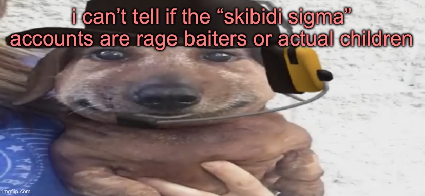 if it’s the latter, then that’s sad | i can’t tell if the “skibidi sigma” accounts are rage baiters or actual children | image tagged in chucklenuts | made w/ Imgflip meme maker