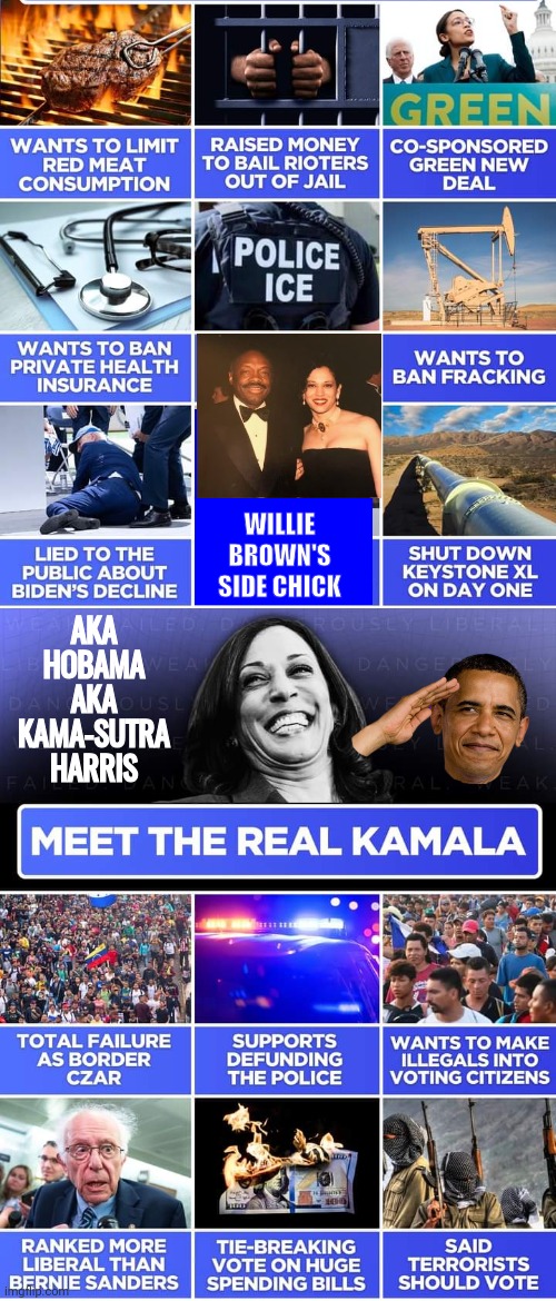 The real Hobama Harris | AKA HOBAMA
AKA KAMA-SUTRA HARRIS; WILLIE BROWN'S SIDE CHICK | image tagged in kamala harris,barack obama | made w/ Imgflip meme maker