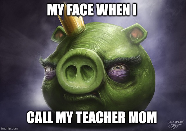 Opps wrong person | MY FACE WHEN I; CALL MY TEACHER MOM | made w/ Imgflip meme maker