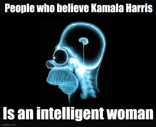 homer brain | People who believe Kamala Harris Is an intelligent woman | image tagged in homer brain | made w/ Imgflip meme maker