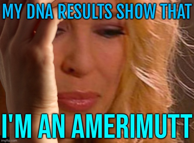 Dna Results Show That I'm An Amerimutt | MY DNA RESULTS SHOW THAT; I'M AN AMERIMUTT | image tagged in first world problems kylie,scumbag america,dna,genetics,no racism,passive aggressive racism | made w/ Imgflip meme maker