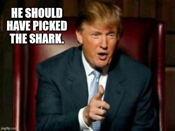 Donald Trump | HE SHOULD HAVE PICKED THE SHARK. | image tagged in donald trump | made w/ Imgflip meme maker