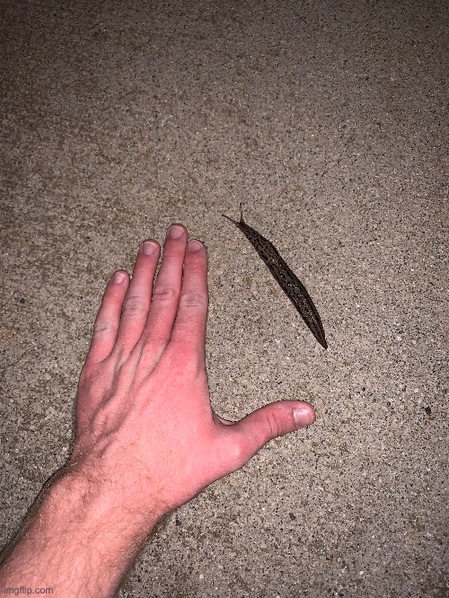 Slut | made w/ Imgflip meme maker