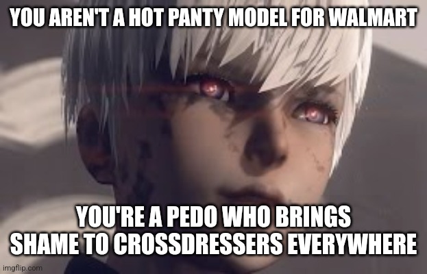 YOU AREN'T A HOT PANTY MODEL FOR WALMART YOU'RE A PEDO WHO BRINGS SHAME TO CROSSDRESSERS EVERYWHERE | made w/ Imgflip meme maker