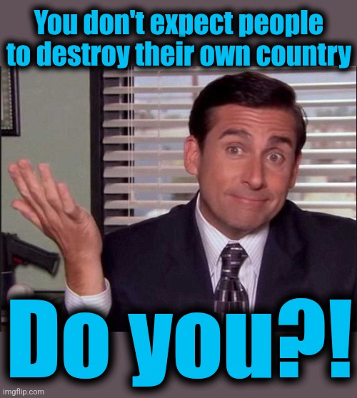 Michael Scott | You don't expect people to destroy their own country Do you?! | image tagged in michael scott | made w/ Imgflip meme maker