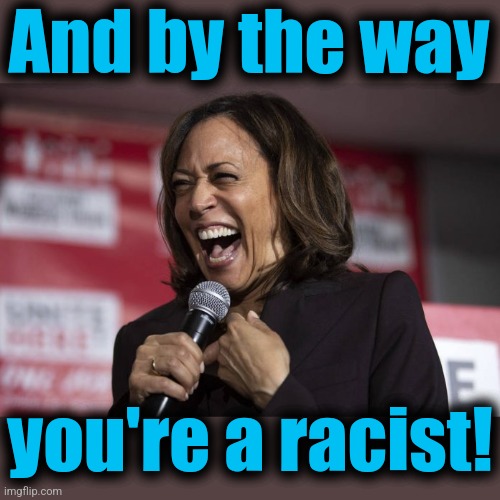 Kamala laughing | And by the way you're a racist! | image tagged in kamala laughing | made w/ Imgflip meme maker