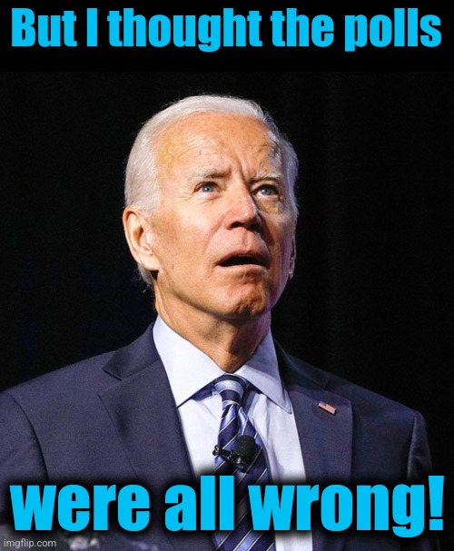 Joe Biden | But I thought the polls were all wrong! | image tagged in joe biden | made w/ Imgflip meme maker