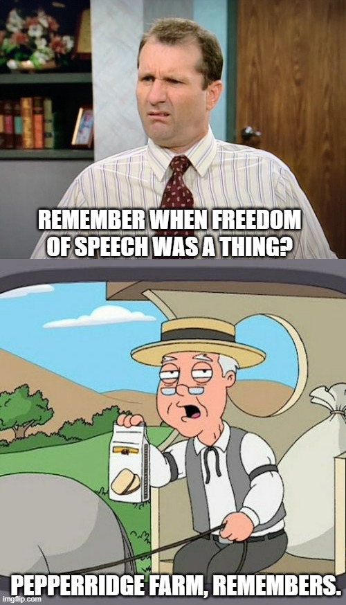 REMEMBER WHEN FREEDOM OF SPEECH WAS A THING? PEPPERRIDGE FARM, REMEMBERS. | image tagged in memes,pepperidge farm remembers,al bundy | made w/ Imgflip meme maker