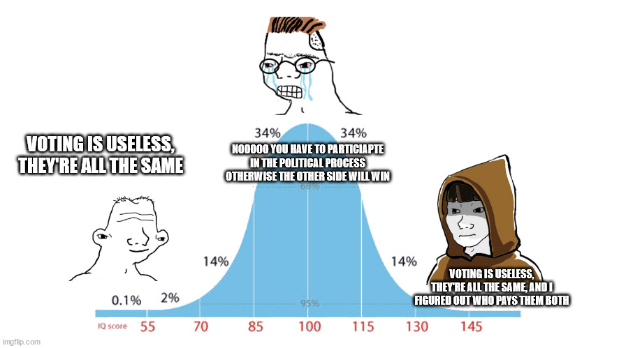 Midwit memes | NOOOOO YOU HAVE TO PARTICIAPTE IN THE POLITICAL PROCESS OTHERWISE THE OTHER SIDE WILL WIN; VOTING IS USELESS, THEY'RE ALL THE SAME; VOTING IS USELESS, THEY'RE ALL THE SAME, AND I FIGURED OUT WHO PAYS THEM BOTH | image tagged in midwit memes | made w/ Imgflip meme maker