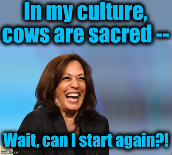 On "Vote for the cow, no matter how" | In my culture,
cows are sacred --; Wait, can I start again?! | image tagged in kamala harris laughing,memes,cows,india,democrats,insanity | made w/ Imgflip meme maker