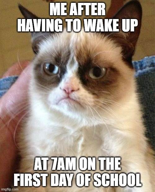 Grumpy Cat Meme | ME AFTER HAVING TO WAKE UP; AT 7AM ON THE FIRST DAY OF SCHOOL | image tagged in memes,grumpy cat | made w/ Imgflip meme maker