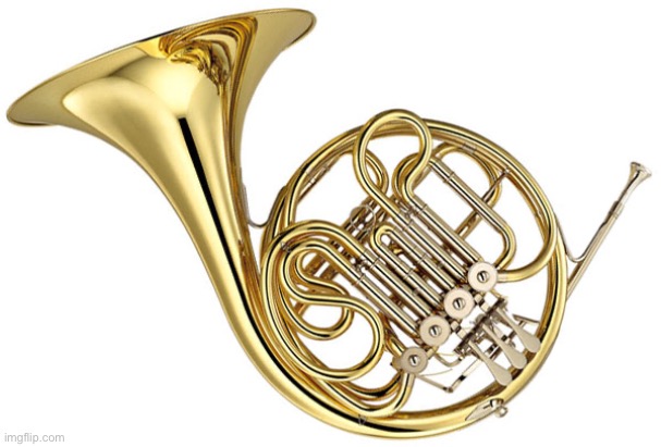 french horn | image tagged in french horn | made w/ Imgflip meme maker