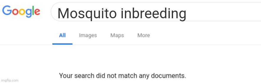 ㅤ | Mosquito inbreeding | image tagged in google no results | made w/ Imgflip meme maker