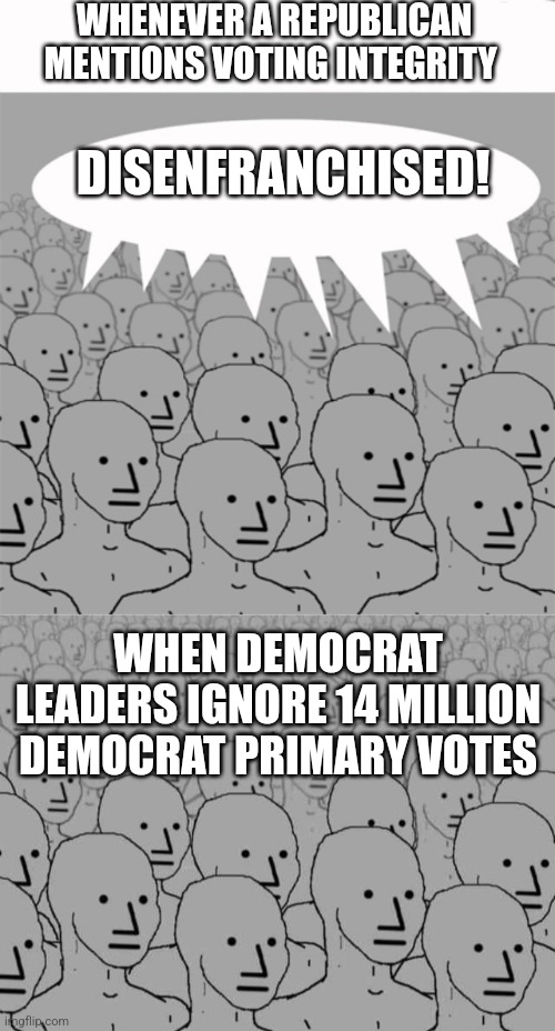 WHENEVER A REPUBLICAN MENTIONS VOTING INTEGRITY; DISENFRANCHISED! WHEN DEMOCRAT LEADERS IGNORE 14 MILLION DEMOCRAT PRIMARY VOTES | image tagged in npcprogramscreed,npc crowd | made w/ Imgflip meme maker