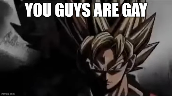 Goku Staring | YOU GUYS ARE GAY | image tagged in goku staring | made w/ Imgflip meme maker