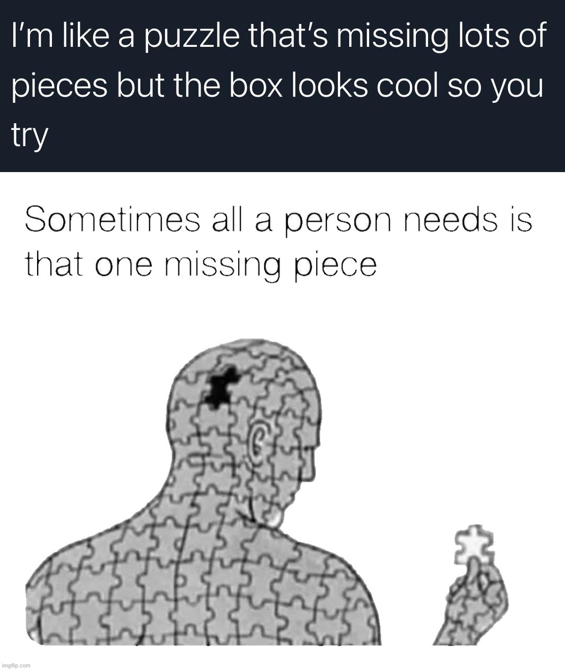 I need more than 1 piece | image tagged in that one missing piece | made w/ Imgflip meme maker