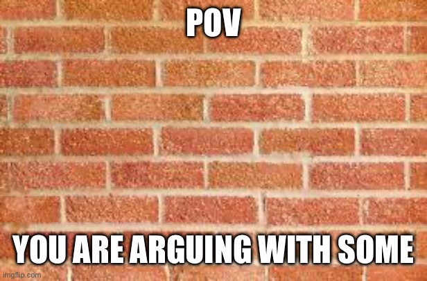 Wall | POV; YOU ARE ARGUING WITH SOMEONE | image tagged in wall,argument,arguing,pov,bottom text,top text | made w/ Imgflip meme maker