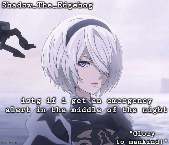 this is lowkey ridiculous | istg if i get an emergency alert in the middle of the night | image tagged in shadow's 2b template,emergency alert | made w/ Imgflip meme maker