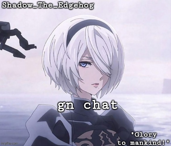 Shadow's 2B Template | gn chat | image tagged in shadow's 2b template | made w/ Imgflip meme maker