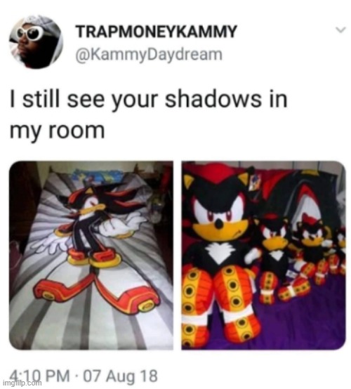 i still see your shadows in my room | image tagged in i still see your shadows in my room,shadow the hedgehog | made w/ Imgflip meme maker