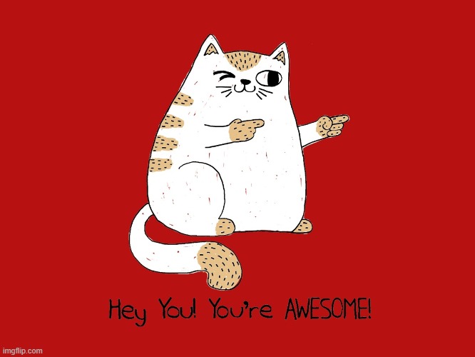 awesome cat | image tagged in awesome cat | made w/ Imgflip meme maker