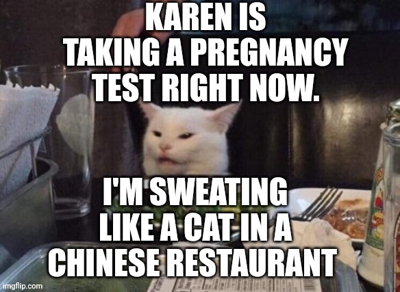 Smudge that darn cat | KAREN IS TAKING A PREGNANCY TEST RIGHT NOW. I'M SWEATING LIKE A CAT IN A CHINESE RESTAURANT | image tagged in smudge that darn cat | made w/ Imgflip meme maker