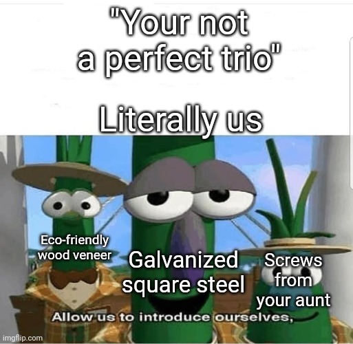 allow us to introduce ourselves | "Your not a perfect trio"; Literally us; Screws from your aunt; Eco-friendly wood veneer; Galvanized square steel | image tagged in allow us to introduce ourselves | made w/ Imgflip meme maker