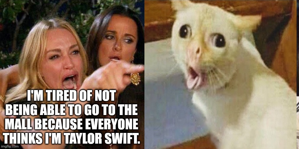 Smudge that darn cat with Karen | I'M TIRED OF NOT BEING ABLE TO GO TO THE MALL BECAUSE EVERYONE THINKS I'M TAYLOR SWIFT. | image tagged in smudge that darn cat with karen | made w/ Imgflip meme maker