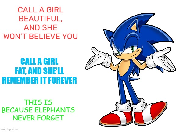 Incorrect Sonic Quote | CALL A GIRL BEAUTIFUL, AND SHE WON'T BELIEVE YOU; CALL A GIRL FAT, AND SHE'LL REMEMBER IT FOREVER; THIS IS BECAUSE ELEPHANTS NEVER FORGET | image tagged in blank white template | made w/ Imgflip meme maker