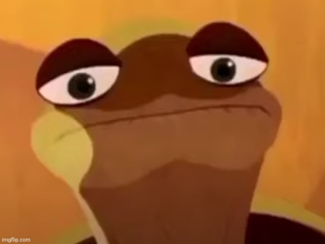 Upset Master Oogway | image tagged in upset master oogway | made w/ Imgflip meme maker