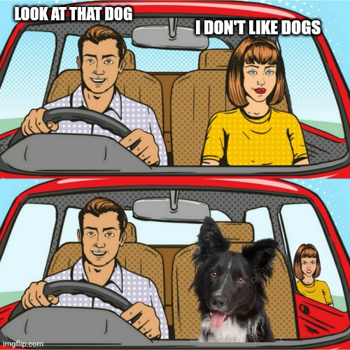 Know your standards | LOOK AT THAT DOG; I DON'T LIKE DOGS | image tagged in kicked out of car | made w/ Imgflip meme maker