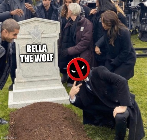 Grant Gustin over grave | BELLA THE WOLF | image tagged in grant gustin over grave | made w/ Imgflip meme maker