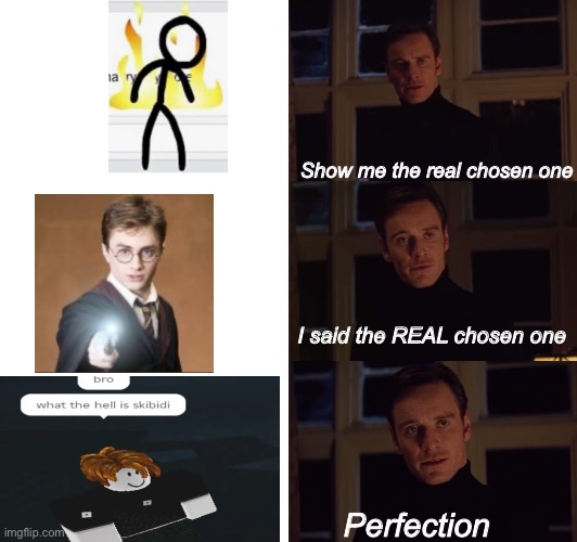 PROTECT HIM AT ALL COSTS | Show me the real chosen one; I said the REAL chosen one; Perfection | image tagged in perfection,the chosen | made w/ Imgflip meme maker