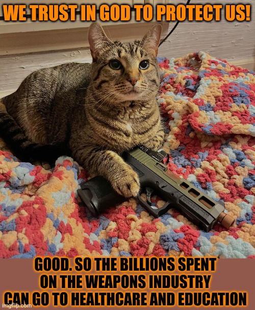 This #lolcat wonders why hoo-mens trust a deity but not common sense | WE TRUST IN GOD TO PROTECT US! GOOD. SO THE BILLIONS SPENT 
ON THE WEAPONS INDUSTRY 
CAN GO TO HEALTHCARE AND EDUCATION | image tagged in lolcat,gun control,common sense,stupid people,god | made w/ Imgflip meme maker